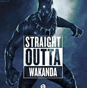 Meet your Posher, William